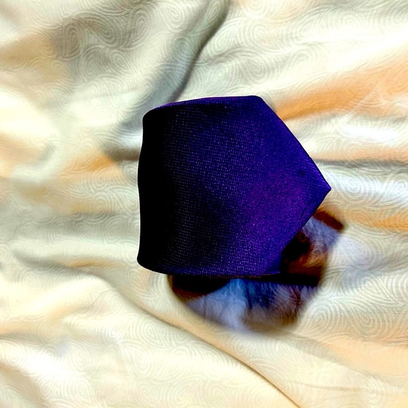 Eagle Silk Tie - Picture 3 of 3